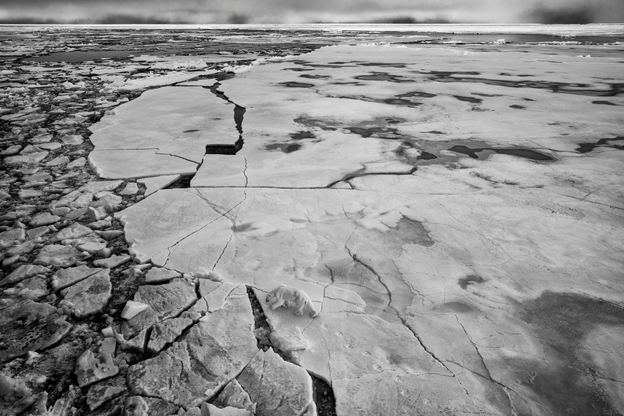 Fractura
Tierra de Francisco José, Rusia, 2017.

61 x 91,4 cm / Edición de 20
31 x 46,5 in / 78,7 x 118,1 cm / Edición de 15
40 × 60 in / 101,6 x 152,4 cm / Edición de 10
60 × 90 in / 152,4 × 228,6 cm / Edición de 7

Biografía de Paul Nicklen:
Paul
