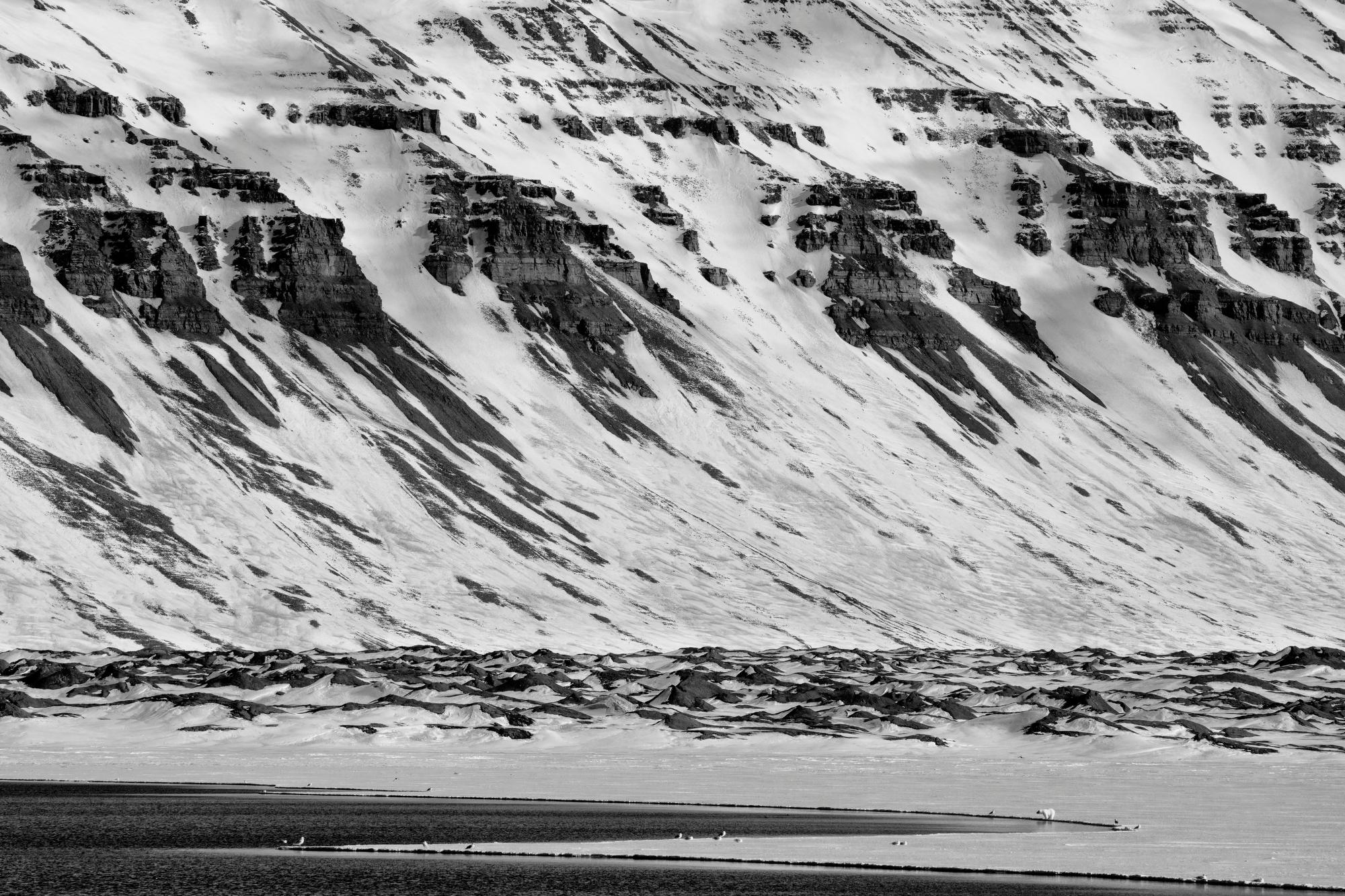 Königreich
Svalbard, Norwegen, 2017.
24 x 36 cm / 61 x 91,4 cm / Auflage: 20
31 x 46,5 in / 78,7 x 118,1 cm / Auflage: 15
40 × 60 in / 101,6 x 152,4 cm / Auflage: 10

Paul Nicklen's Biographie:
Paul Nicklen (Kanadier) ist ein bildender Künstler und