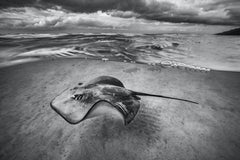 Bajo cielos tormentosos, Polinesia Francesa por Cristina Mittermeier