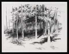 "Behind the Studio" Realist charcoal on paper drawing, trees and shadows, framed