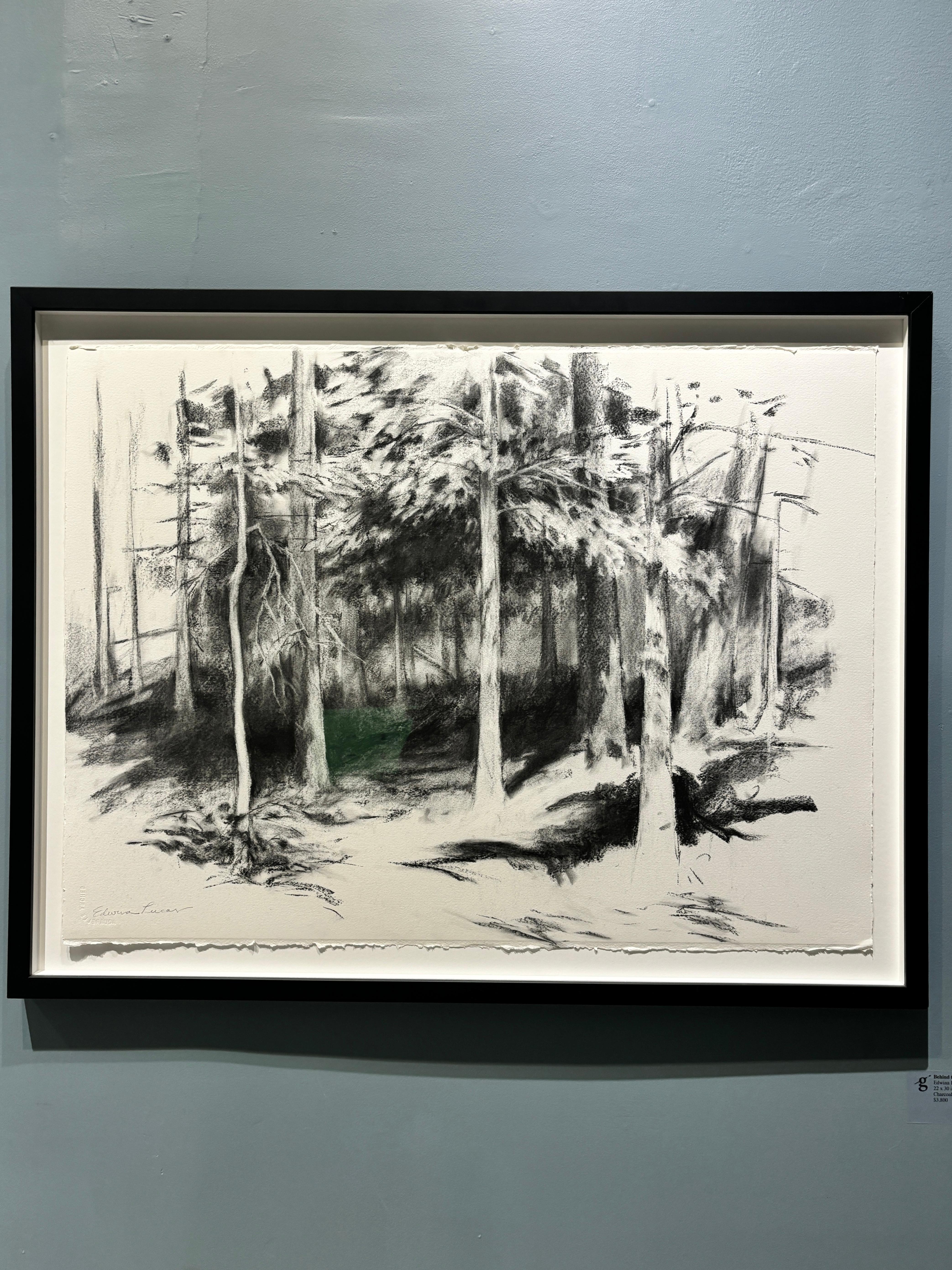 „Behind the Studio“ Realistische Kohle auf Papier Zeichnung, Bäume und Schatten, gerahmt – Art von Edwina Lucas