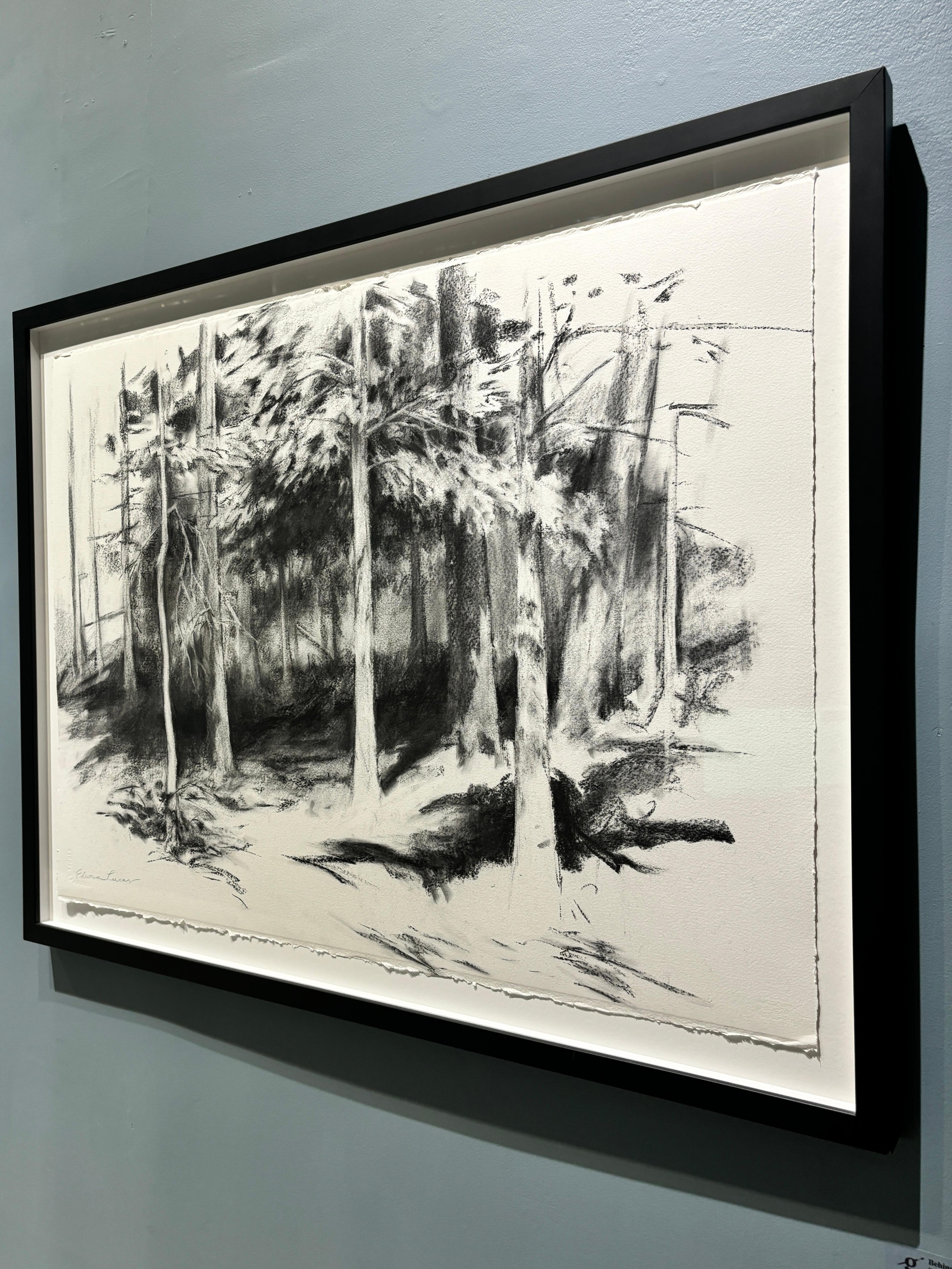 „Behind the Studio“ Realistische Kohle auf Papier Zeichnung, Bäume und Schatten, gerahmt (Realismus), Art, von Edwina Lucas
