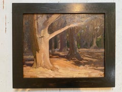 "Moss Beach Cypress" oil painting of old tree sunlit in forest, neutral colors