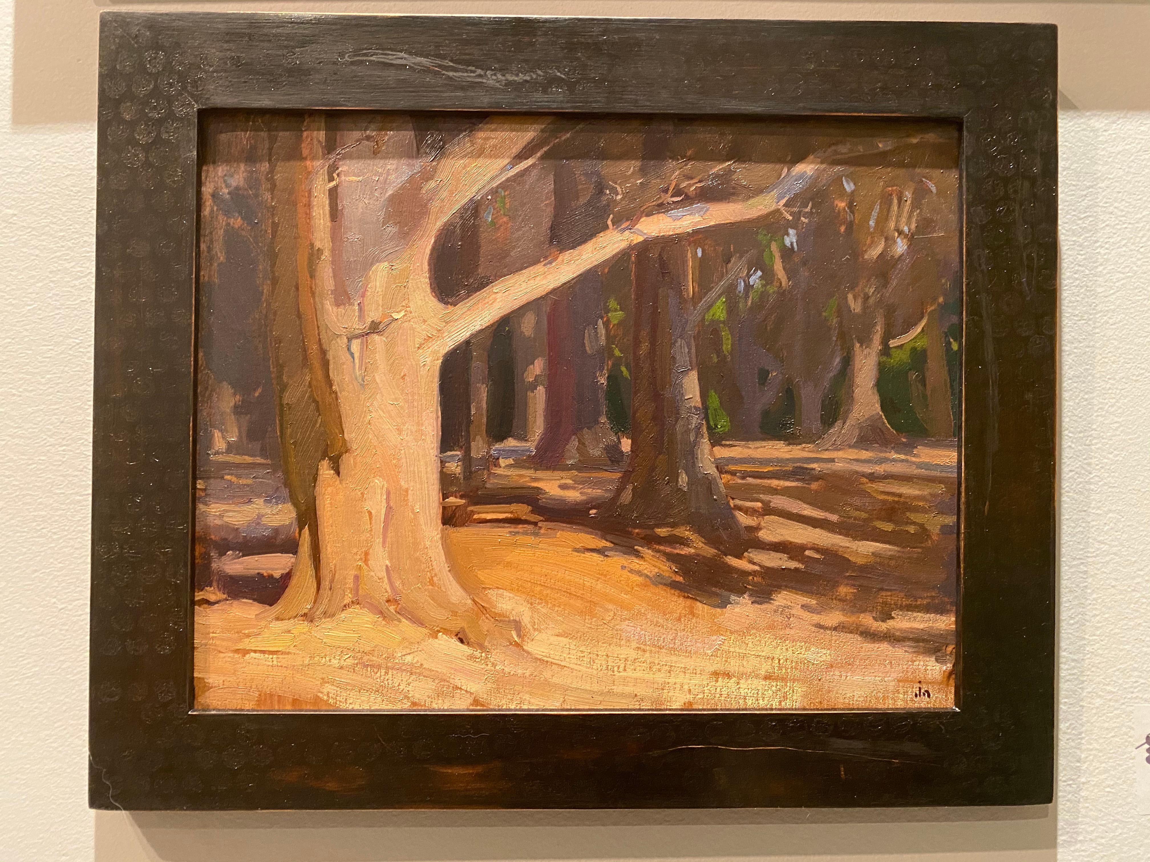 Peinture à l'huile d'un bois nu et ombragé en Californie. Ce qui intéresse l'artiste, c'est la lumière du soleil qui frappe les arbres et l'ombre qui se dépose sur le sol. 

Joseph Altwer est un peintre à l'huile réaliste traditionnel né en