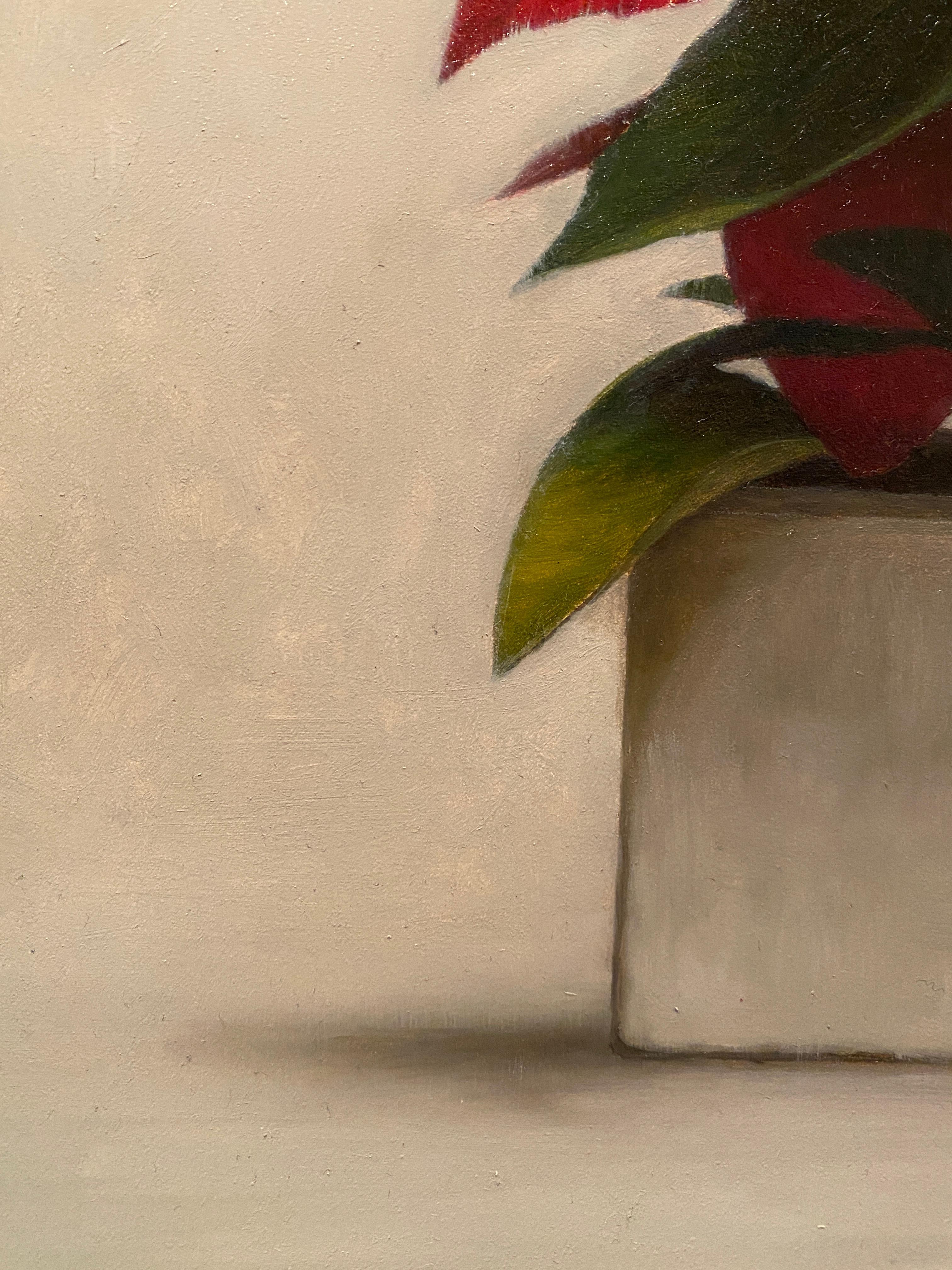 Poinsettia - American Realist Painting by Matthew Weigle