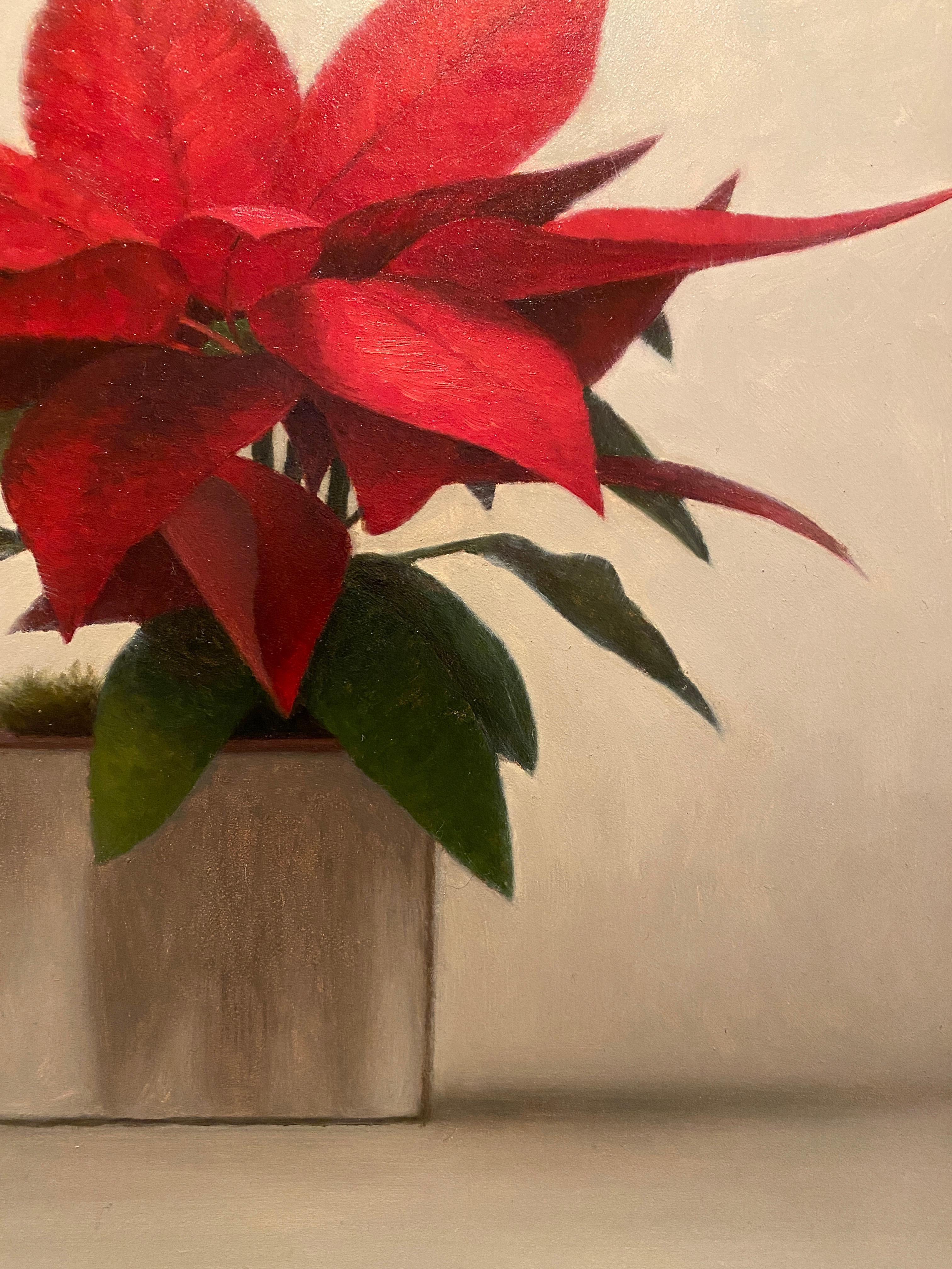 Poinsettia 2 - American Realist Painting by Matthew Weigle