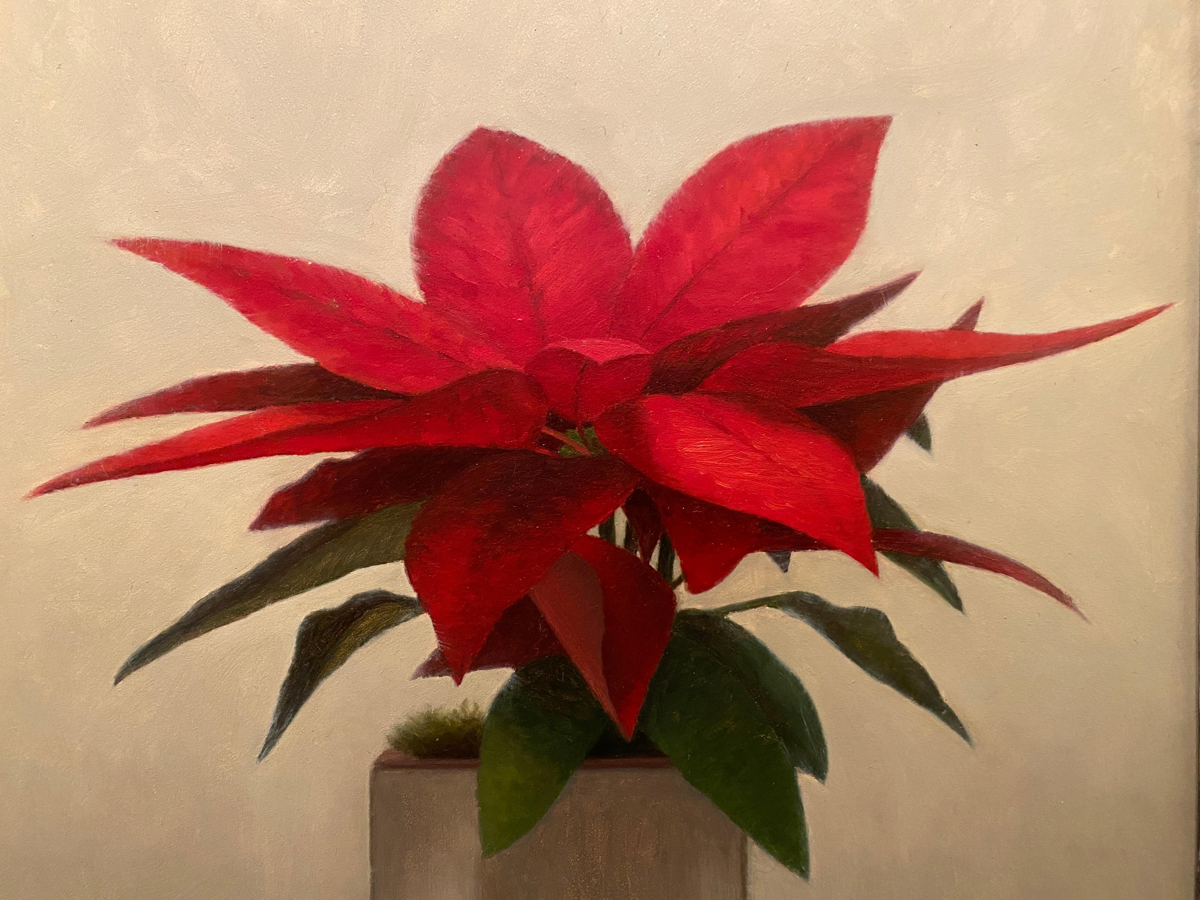 Poinsettia 2 - Beige Still-Life Painting by Matthew Weigle