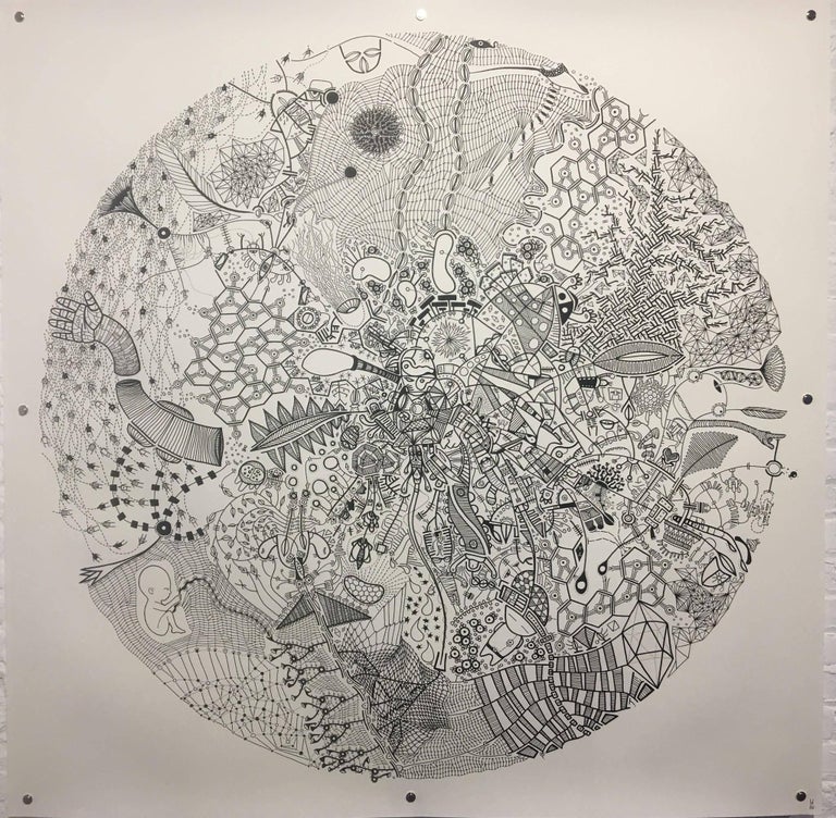 Halsey Chait - Behold, Halsey Chait, Large Abstract India Ink Drawing on  Paper, Circle For Sale at 1stDibs | abstract ink drawings, india ink  drawings, drawing with india ink