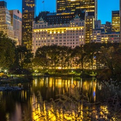 "Central Park", Fotografía urbana en color, Otoño, Nueva York, Manhattan, Noche