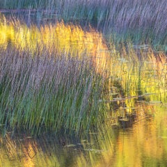 ""Teich", Farb Naturfotografie, Landschaft, Impressionist, Gelb, Lila