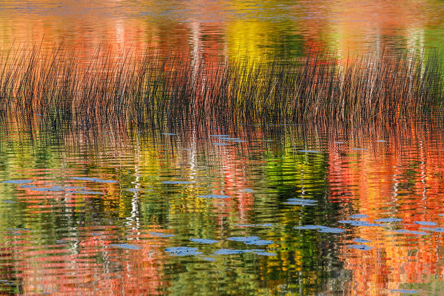 Alexandra Steedman Landscape Photograph – ""Acadia National Park"", Farb Naturfotografie, Landschaft, Impressionist