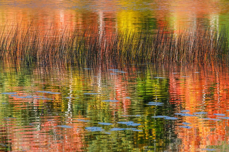 Alexandra Steedman Landscape Photograph - "Acadia National Park", Color Nature Photography, Landscape, Impressionist