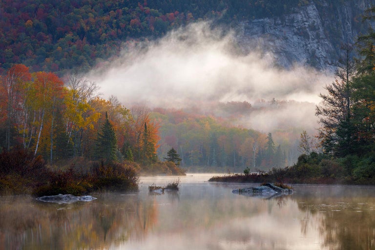 Alexandra Steedman Landscape Photograph - "Autumn in Vermont", Color Nature Photography, Landscape, Trees, Autumn, Yellow