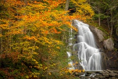 "Cascade", Color Nature Photography, Landscape, Trees, Autumn, Yellow, Vermont