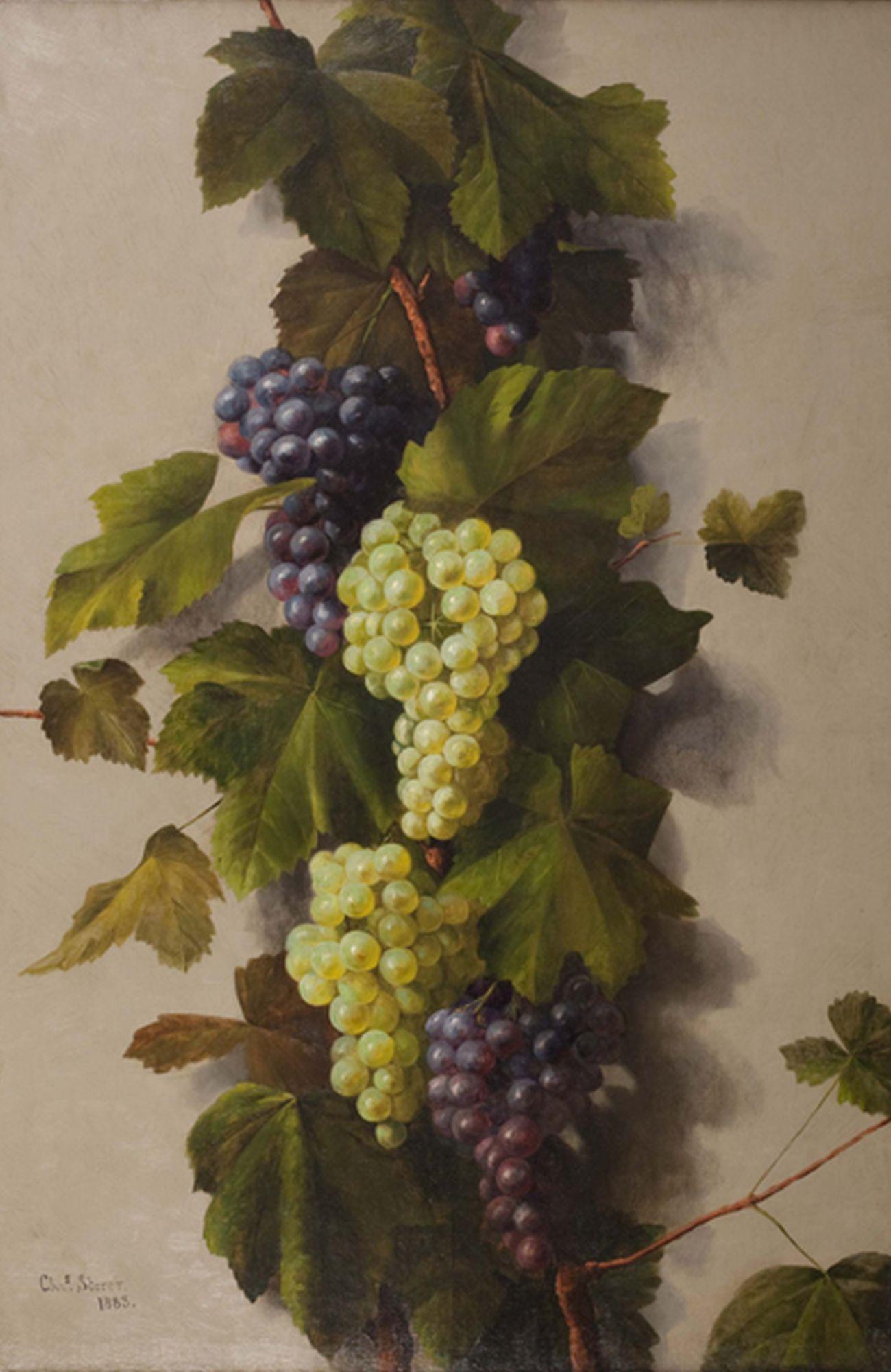 Charles Storer Still-Life Painting - Ripe Enough to Gather