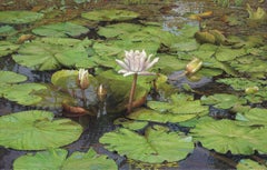 Tropische waterlelie