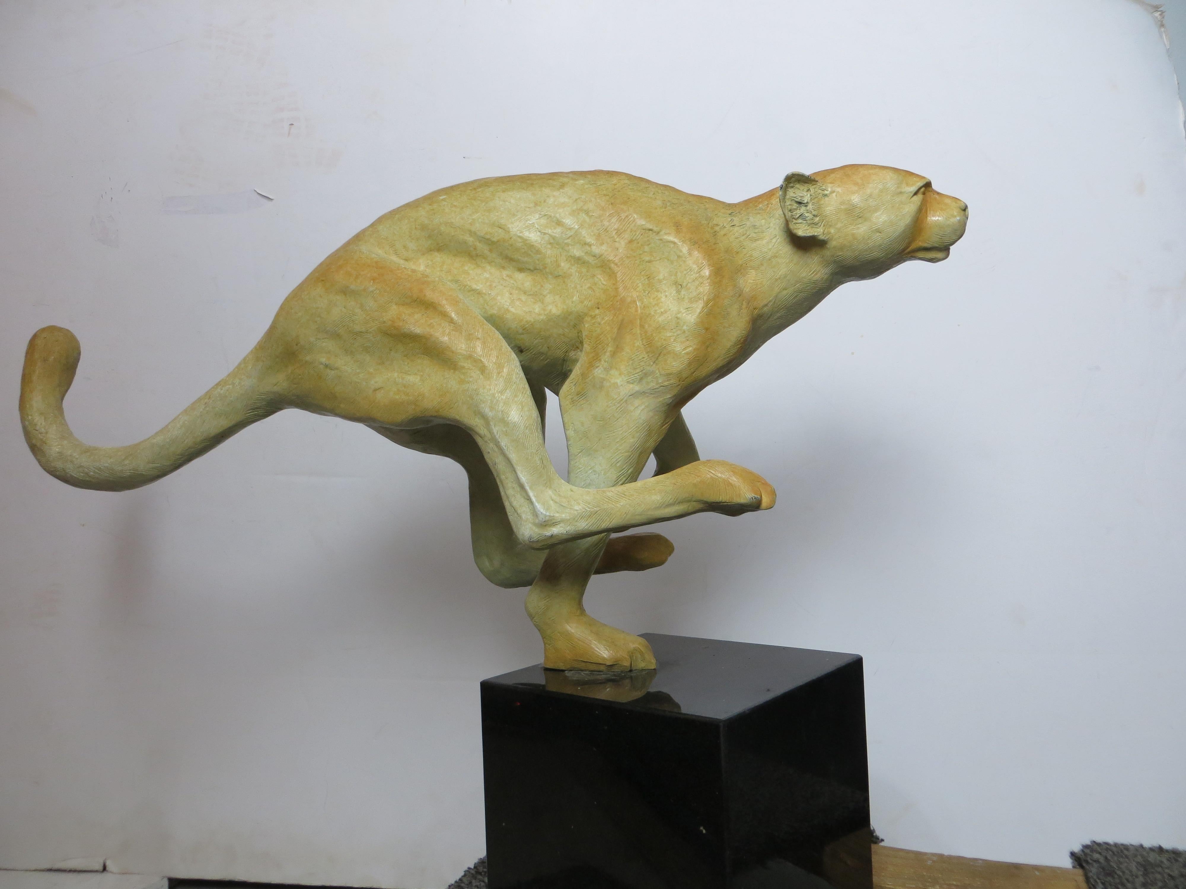 Cheetah in Bronze  - Contemporary Sculpture by Unknown