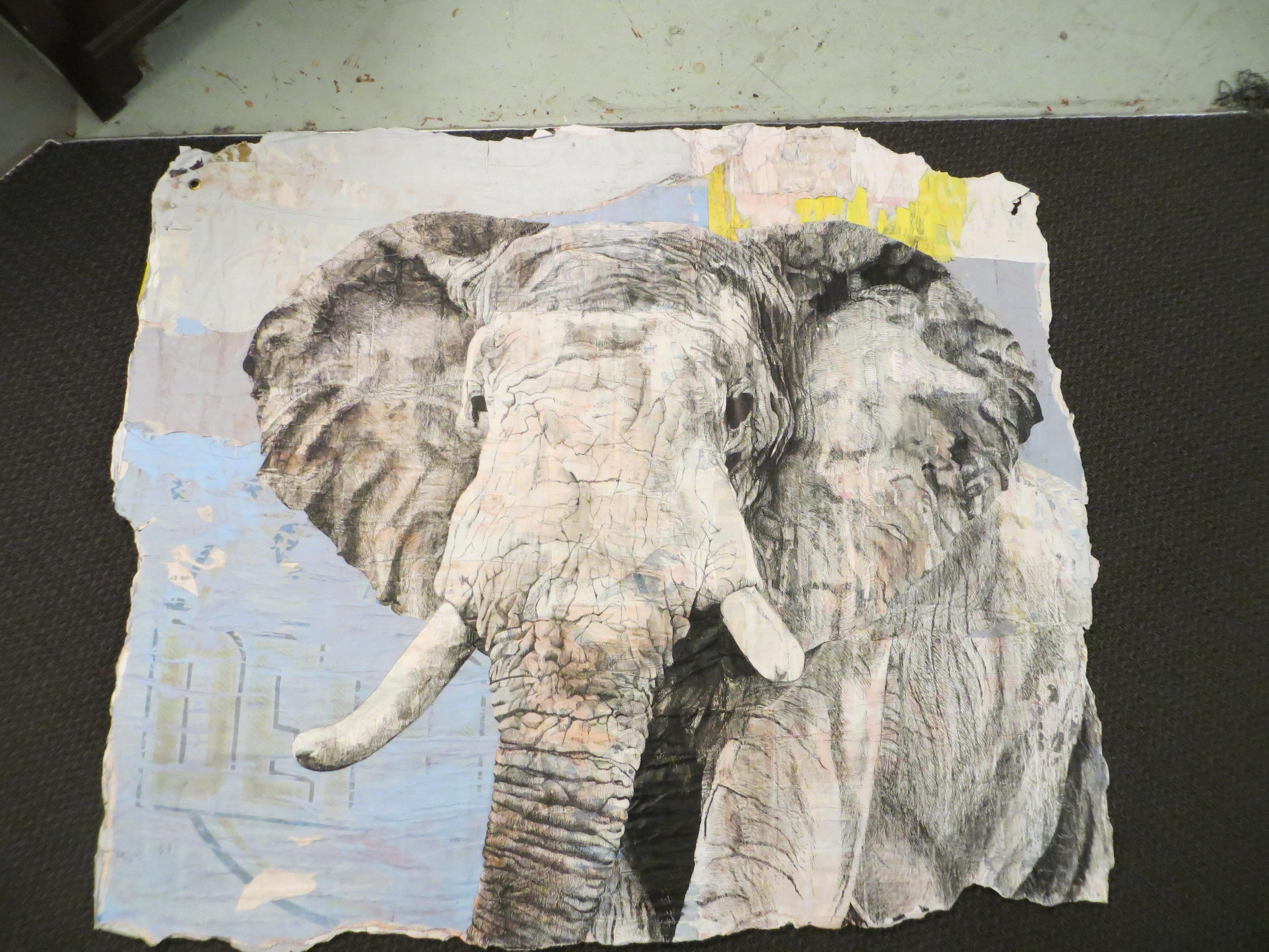 collage elephant