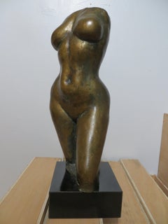 Female Torso