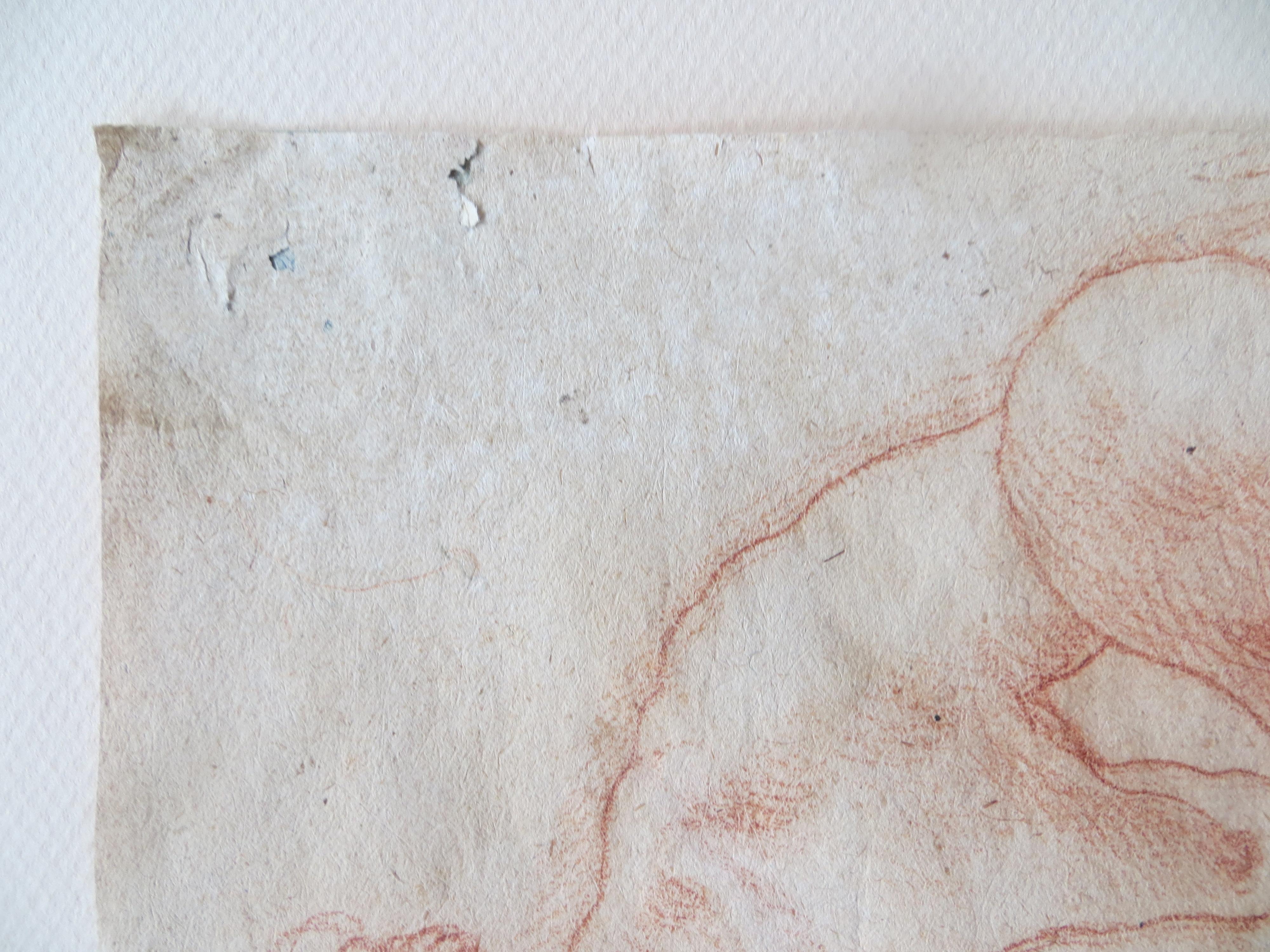 Altmeister, Französische Schule Rötelzeichnung auf Papier
In Sanguine auf Papier gemalt, erscheinen die Akte wie Hercule. Obwohl es sich um akademische Studien handelt, sind die Werke in Bezug auf Muskulatur und Pose sehr detailliert. Es könnte sich