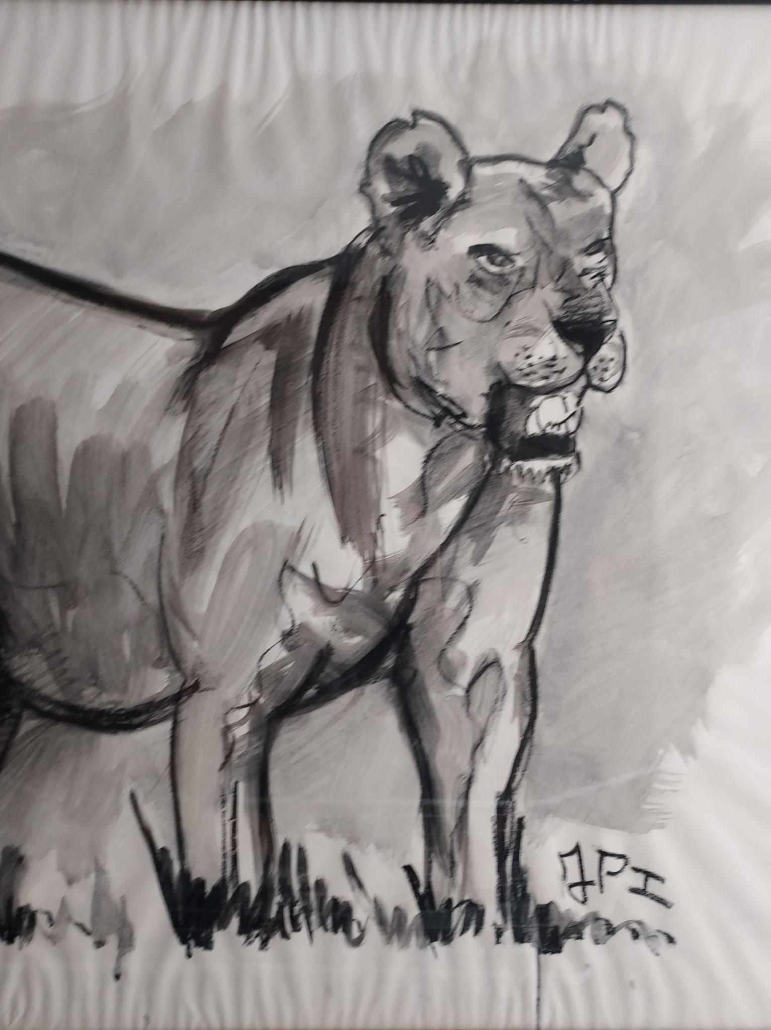 Lioness Fusain Zeichnung von Jean Poulain im Angebot 2
