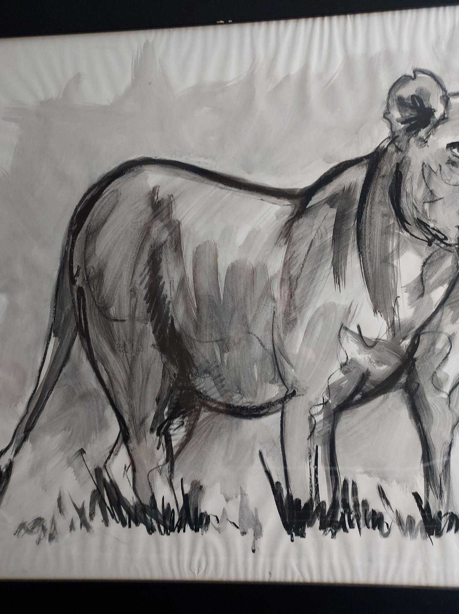Lioness Fusain Zeichnung von Jean Poulain im Angebot 3