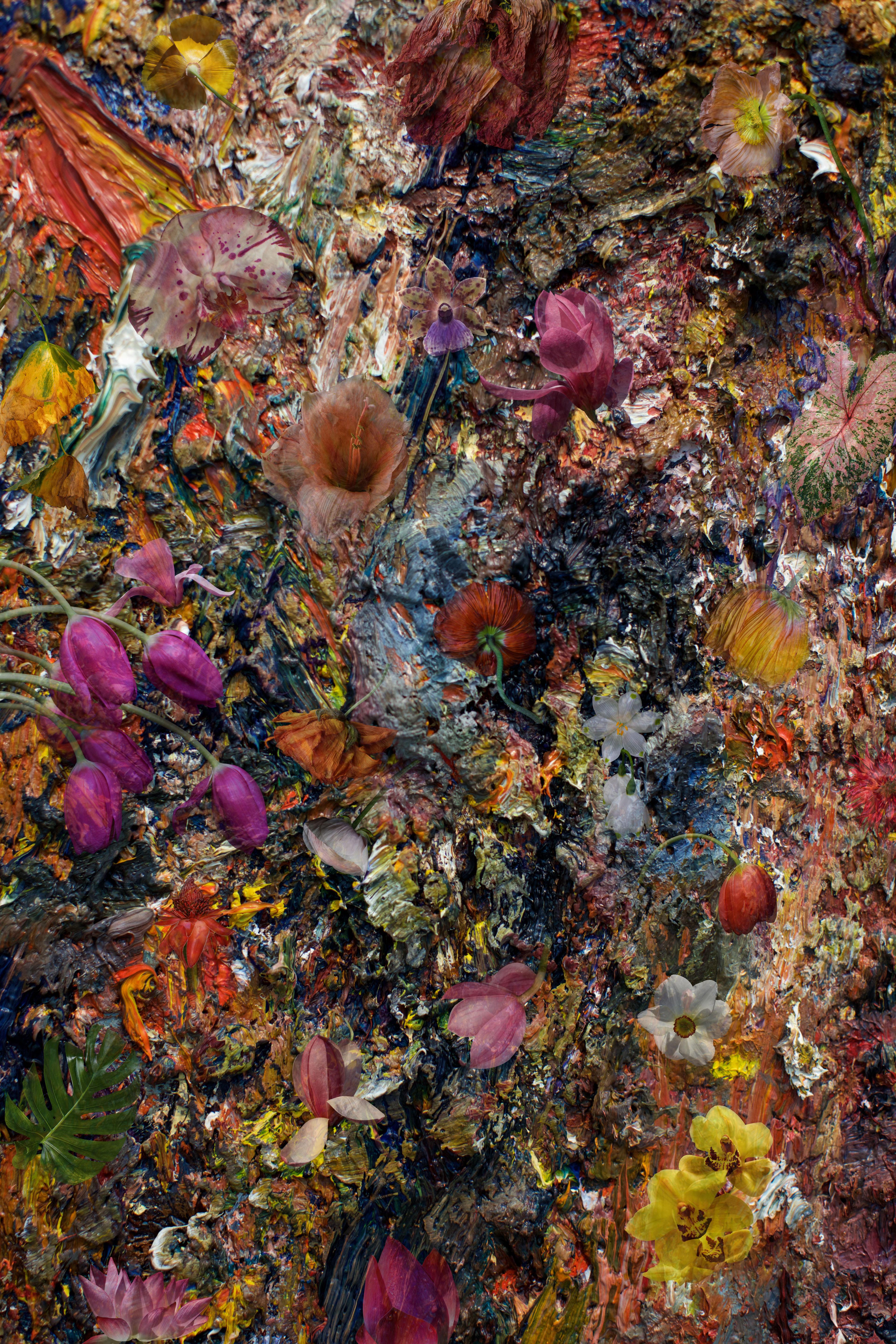 Patrick Chelli Figurative Photograph – Abstrakte Blumen im abstrakten Stil