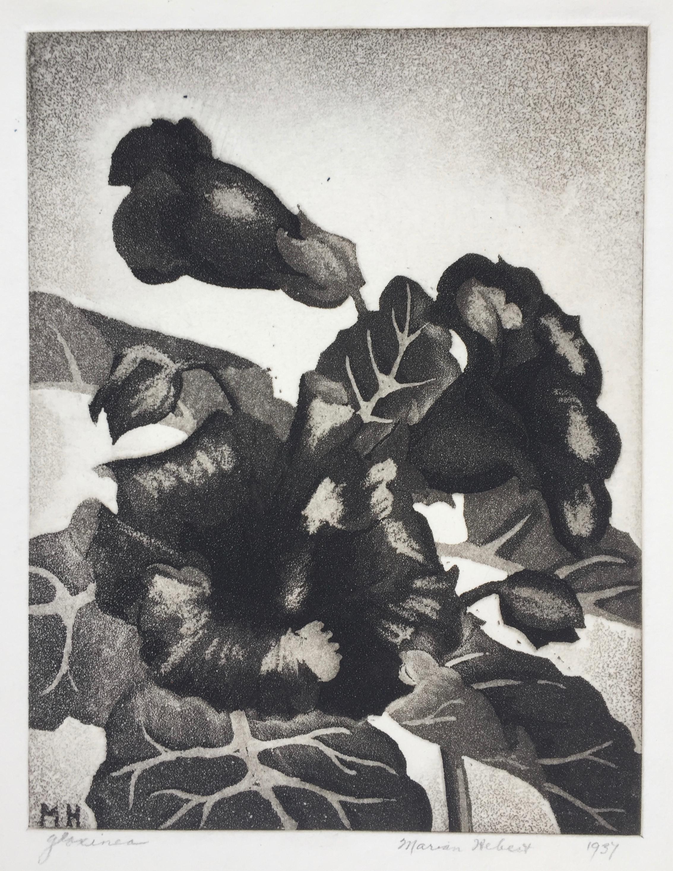 GLOXINIA - Published by the WPA / Federal Art Project with Label. - Print by Marian Hebert