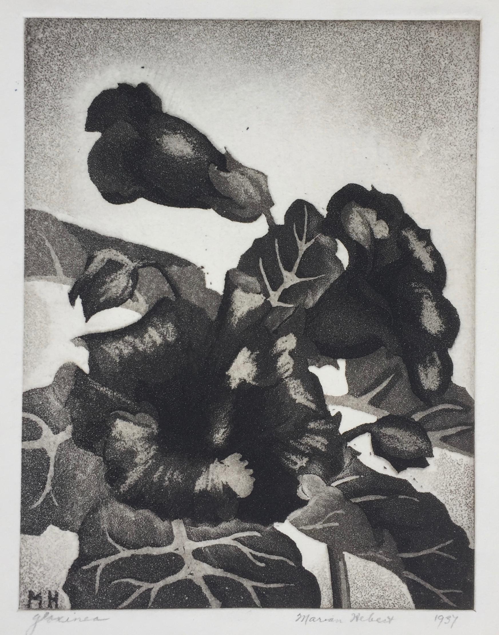 Marian Hebert Landscape Print - GLOXINIA - Published by the WPA / Federal Art Project with Label.