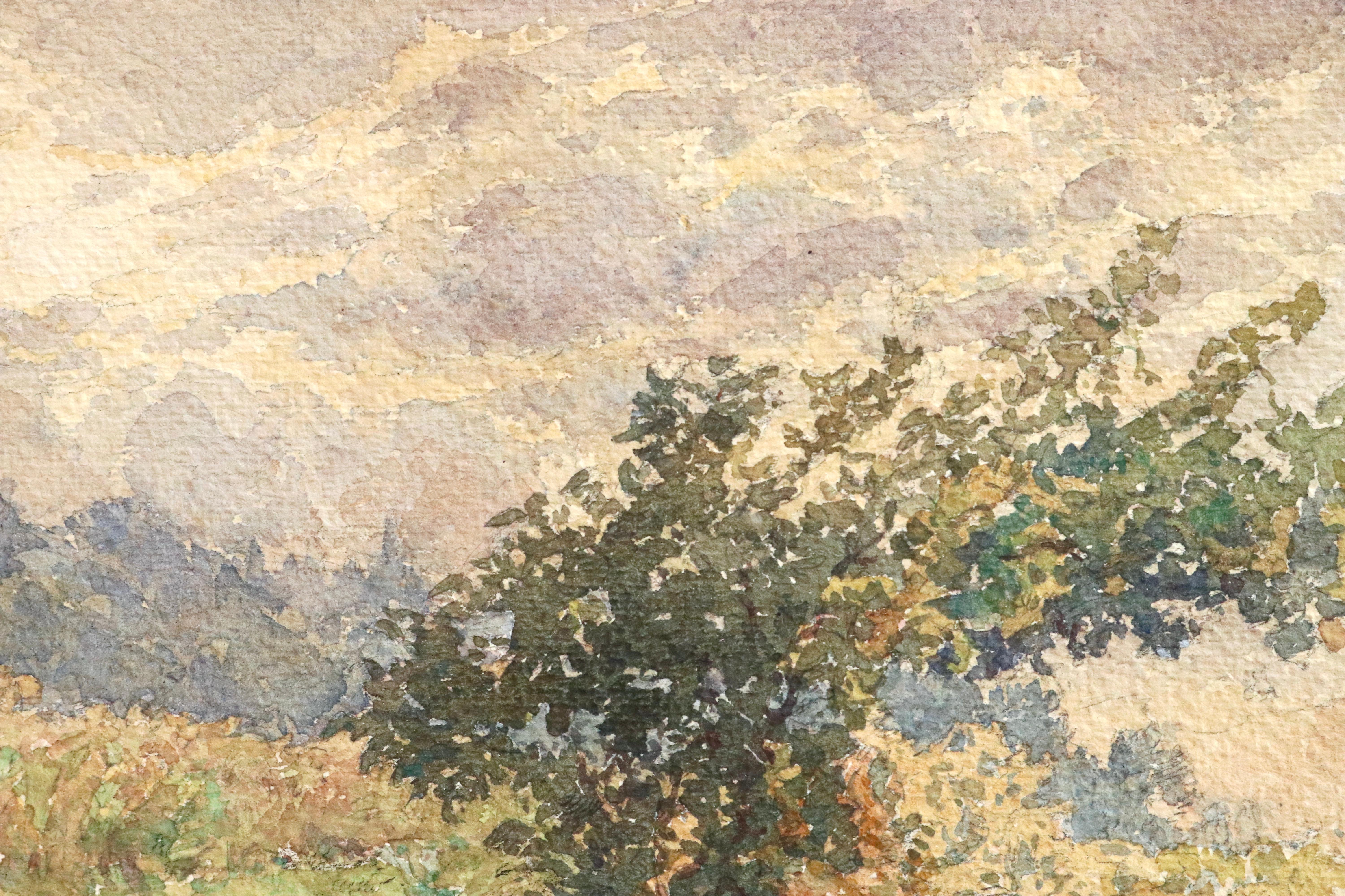 Fleurs en Paysage - 19th Century Watercolour, Flowers in Landscape by H Duhem - Impressionist Art by Henri Duhem