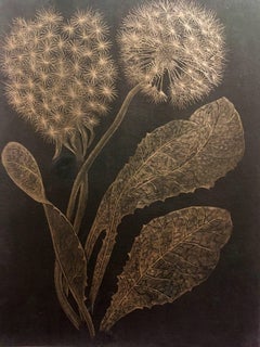 Margot Glass, Dandelions, realist 14 karat gold floral drawing on paper, 2018