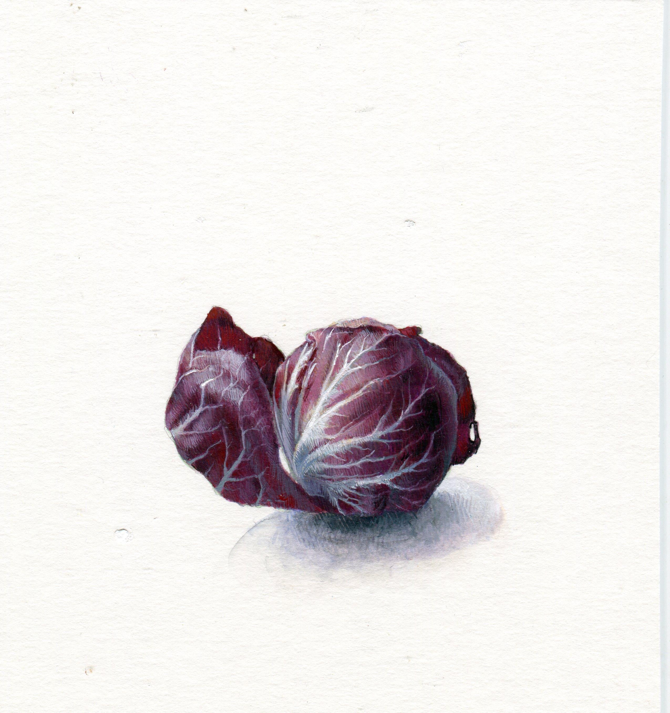 Dina Brodsky elevates and personifies her subject in her realist gouache still-life "Radicchio." Though diminutive in scale, Brodsky's attention to detail lends singularity to the vegetable. A thin network of pearly white veins stretches across the