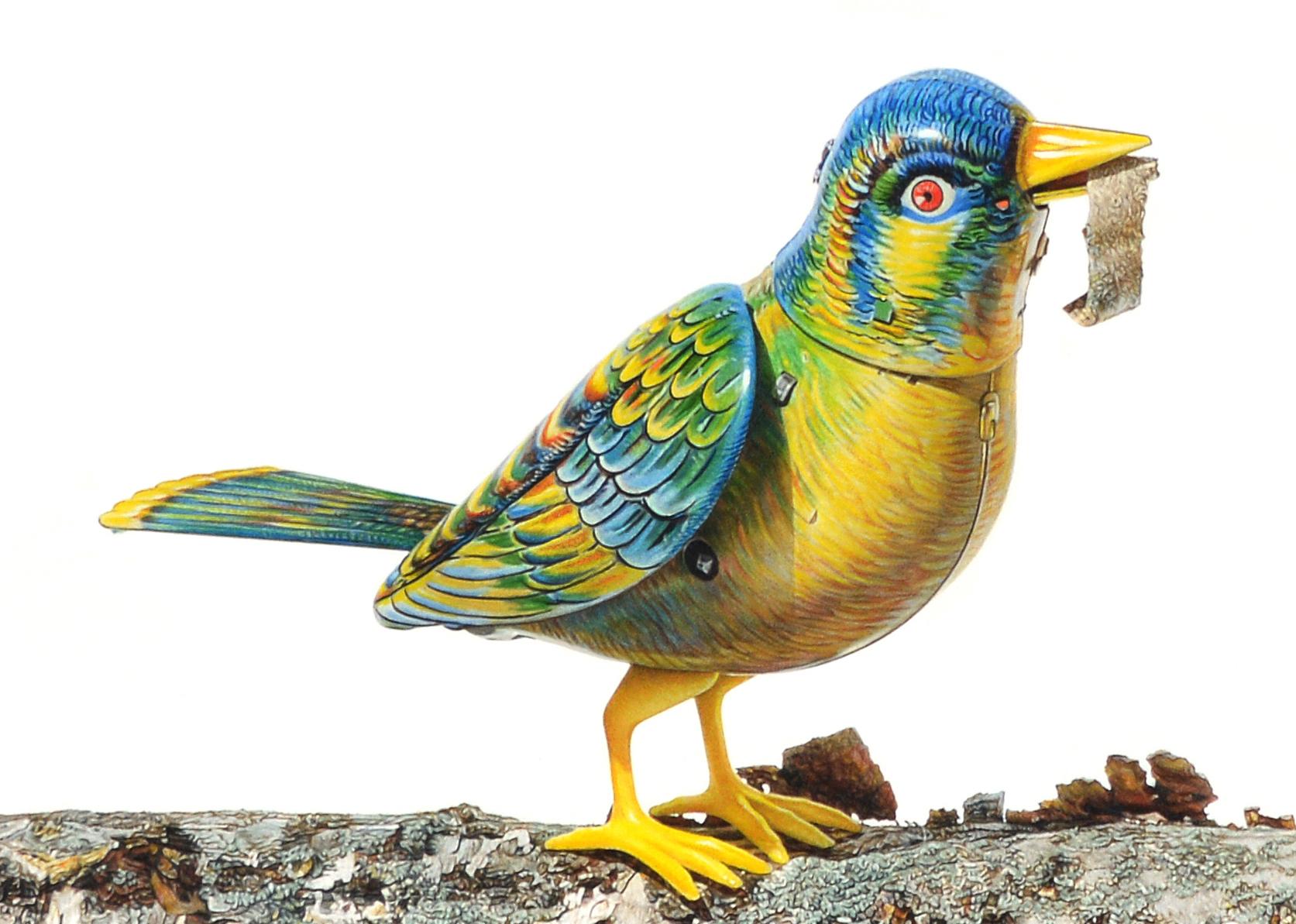 David Morrison, Wind-Up Bird No. 4, hyperrealist color pencil animal drawing 3