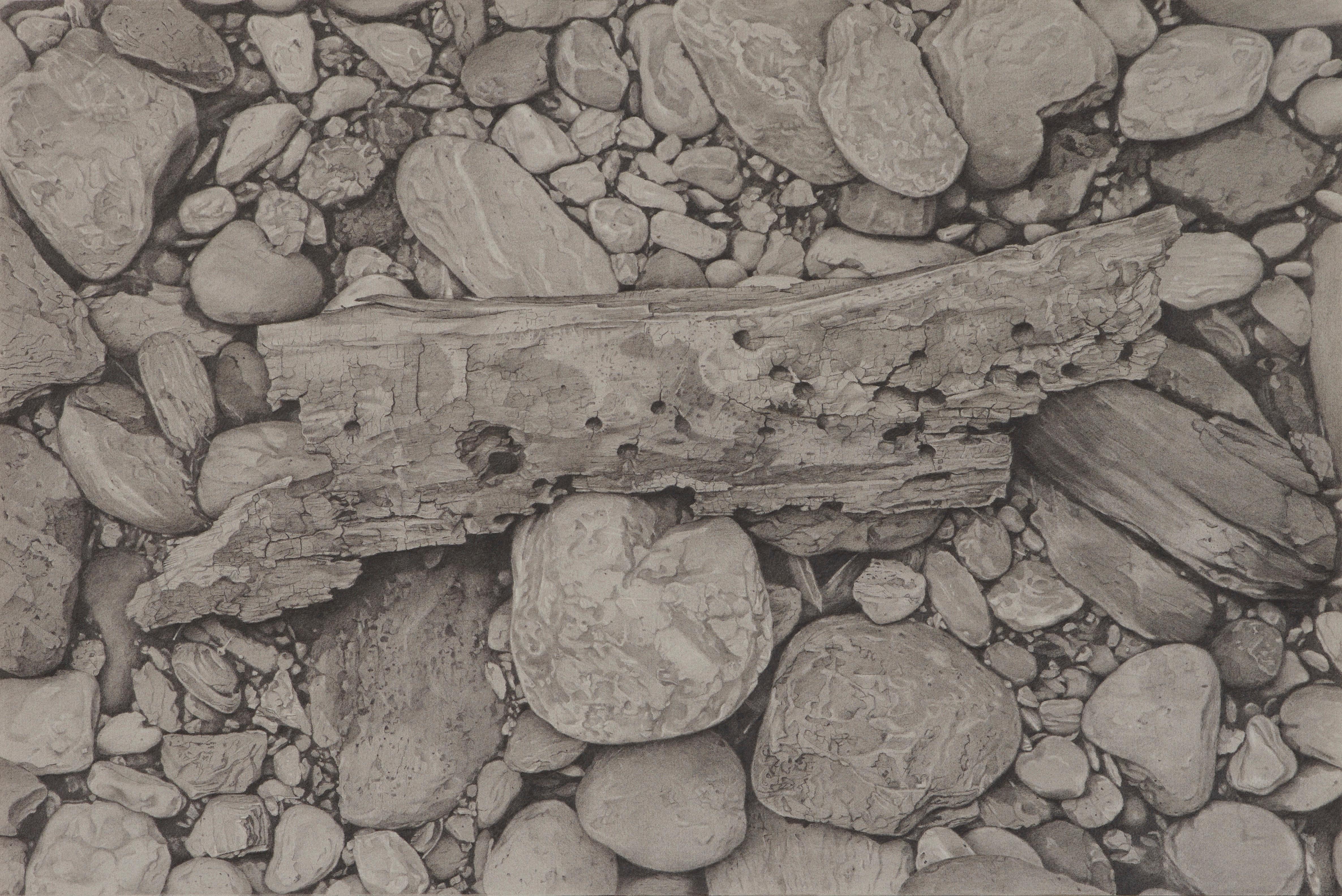 Mary Reilly Landscape Art - Riverbank 2, photorealist graphite nature drawing, 2018