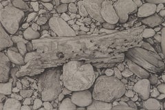 Riverbank 2, photorealist graphite nature drawing, 2018