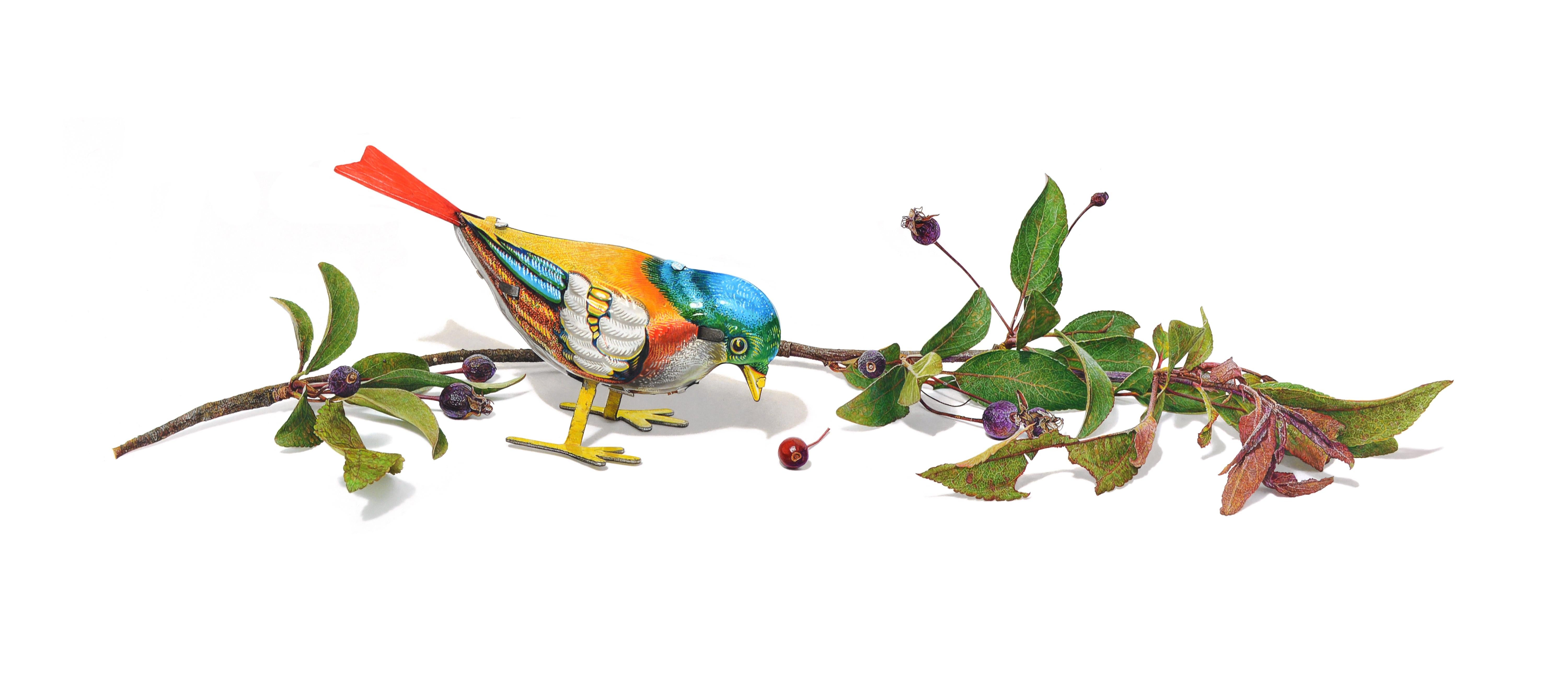 David Morrison, Oiseau à remontoir n° 5, dessin d'animal au crayon en couleur hyperréaliste