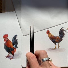 Dina Brodsky, Little Rooster, realist gouache miniature animal portrait, 2019