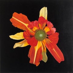 Brandy Kraft, Antirrocallis aurantium, photorealist floral still life painting