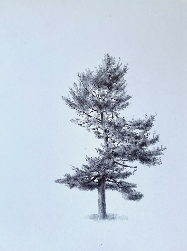 Earth Day! How to draw a pine tree + Hahnemühle sketchbook mini review