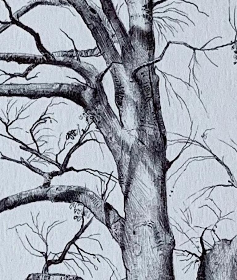 Ohne Titel (Lichtbaum), realistische Ballpoint-Bleistift-Stilllebenzeichnung, 2020 – Art von Dina Brodsky