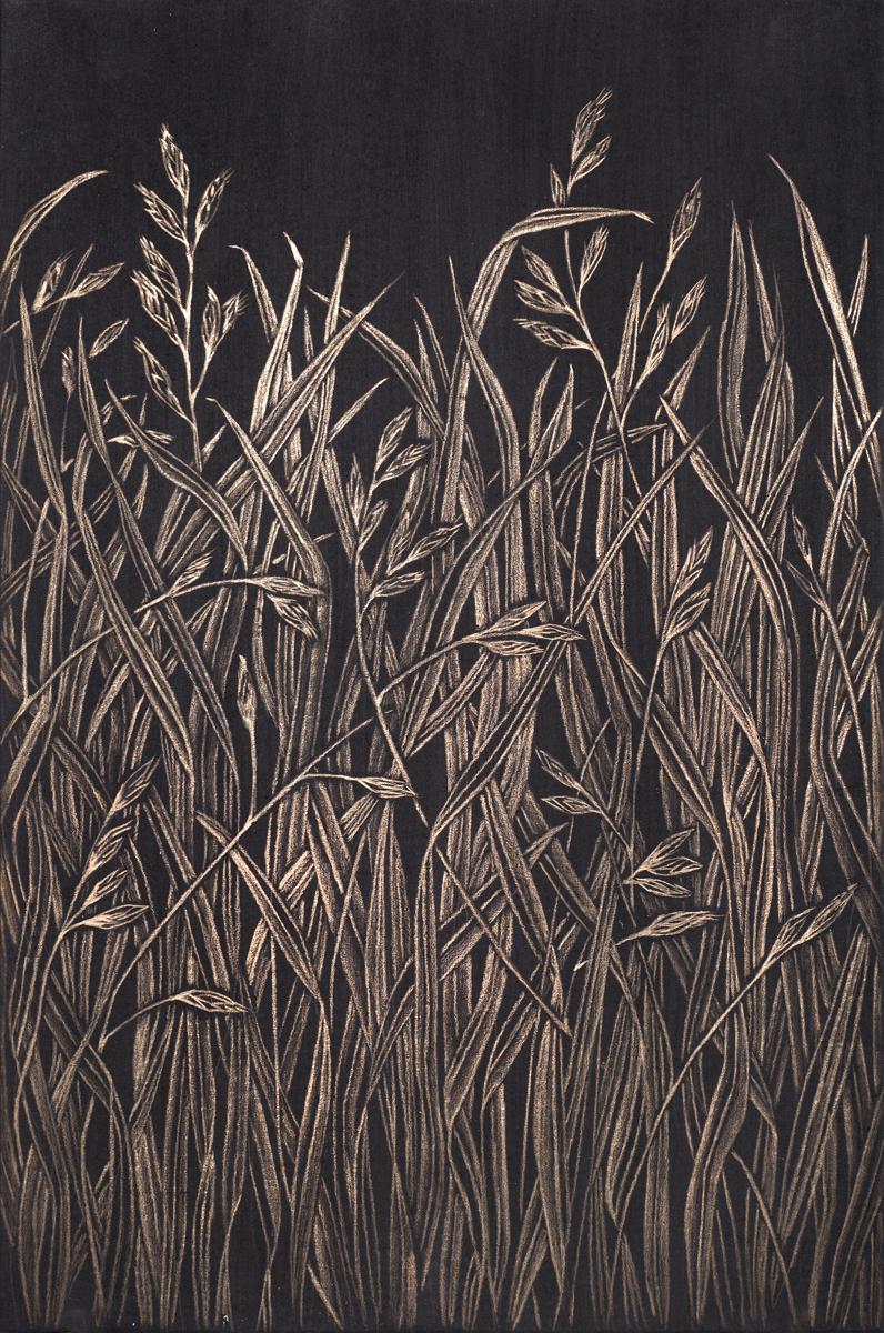 Margot Glass Landscape Art - Small Grasses #2, contemporary realist gold point botanical still life drawing