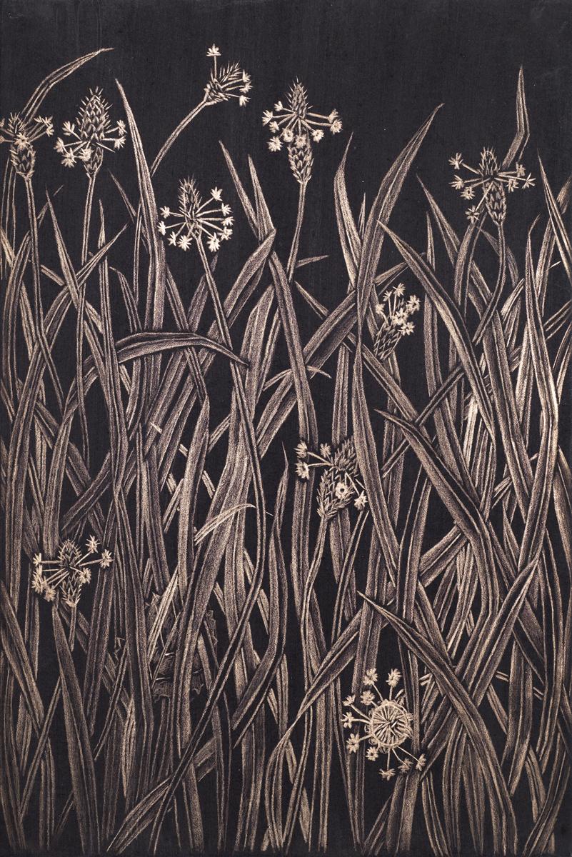 Margot Glass Landscape Art - Small Grasses #1, contemporary realist gold point botanical still life drawing