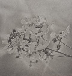 Flowering Hillside 2, photorealist graphite floral drawing, 2020