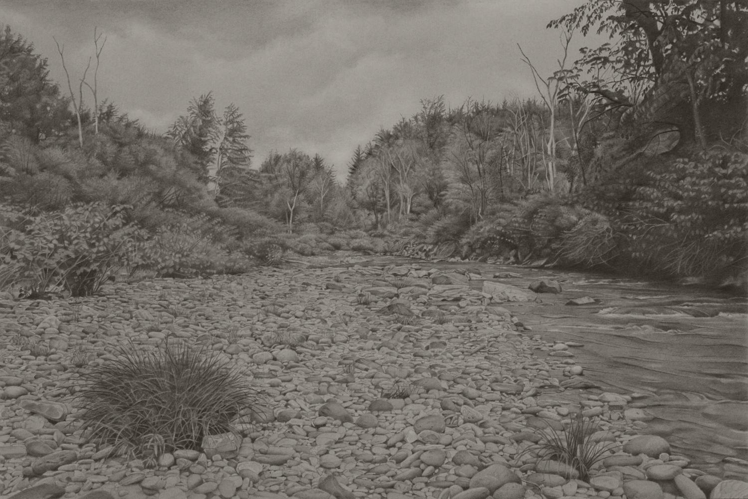 Mary Reilly Landscape Art – Riverbank 3, fotorealistische Graphit-Landschaftszeichnung, 2021