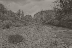 Ribera del río 3, dibujo de paisaje fotorrealista en grafito, 2021