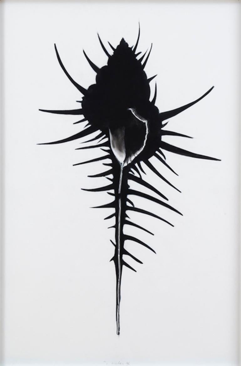 Idelle Weber Animal Art - Murex, black and white pop art pastel, semi-abstract silhouette, 1996