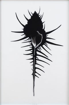 Retro Murex, black and white pop art pastel, semi-abstract silhouette, 1996