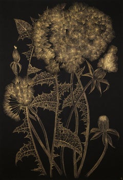 Large Dandelion 3, black and gold realist floral still life