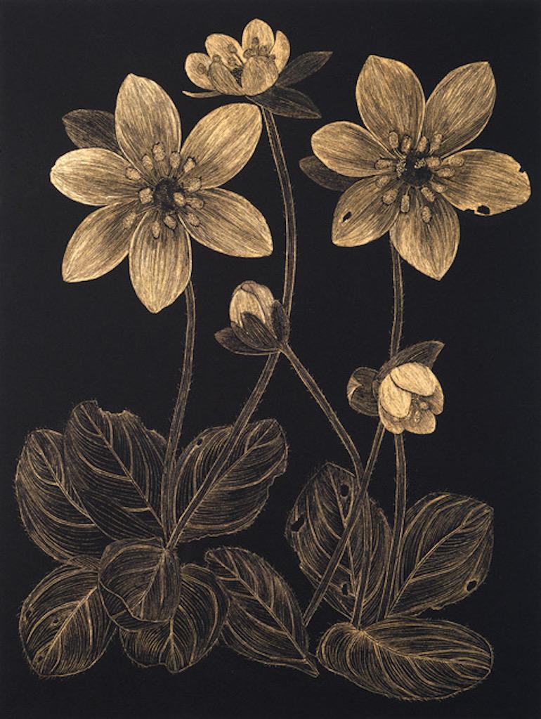 Margot Glass Still-Life - Anemone 1, contemporary realist botanical still life drawing