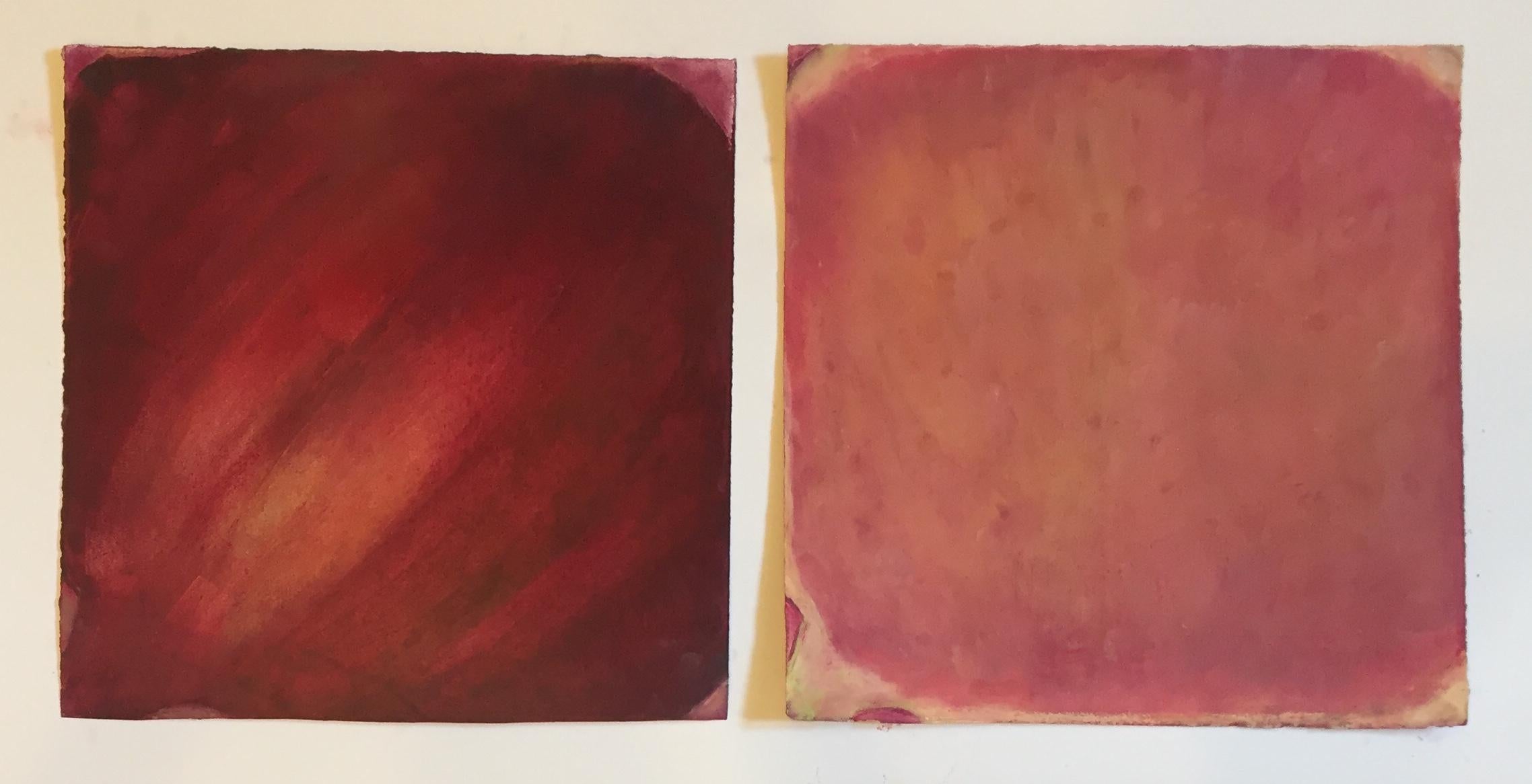 Daisy Craddock Still-Life - Mission, pastel on paper abstract fruit still life